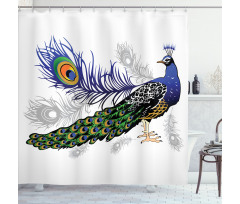 Wild Peacock Feather Shower Curtain