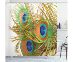 Modern Peacock Feathers Shower Curtain