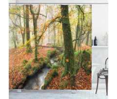 Misty Woods Cornwall Shower Curtain