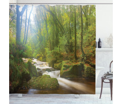 Forest at Golitha Falls Shower Curtain