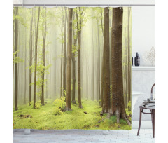 Misty Beech Forest Photo Shower Curtain