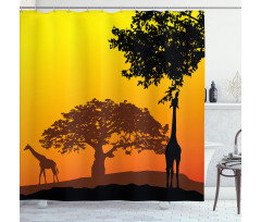 Giraffe Savannah Desert Shower Curtain