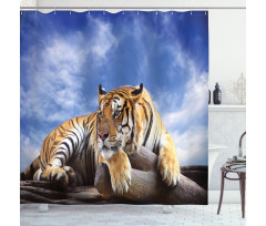 Tiger on Wood Wildlife Shower Curtain