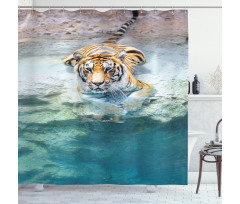 Bengal Tiger in Wild Shower Curtain