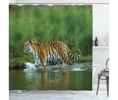 Siberian Tiger Panthera Shower Curtain