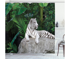 White Tiger in Jungle Shower Curtain
