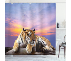 Tiger Colorful Sunset Shower Curtain
