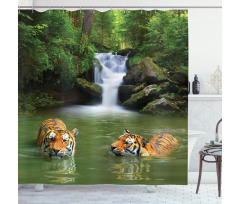 Siberian Tigers Shower Curtain