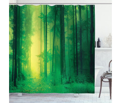 Fairy Springtime Forest Shower Curtain