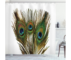 Close up Peacock Feather Shower Curtain