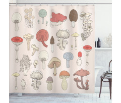 Pastel Various Mushrooms Shower Curtain