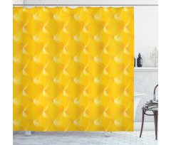 Lines and Swirling Motifs Shower Curtain