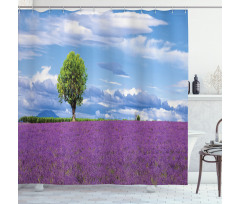 Lavender Field Tree Shower Curtain