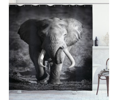 Exotic Wildlife Elephant Shower Curtain