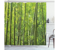 Exotic Tropical Bamboo Shower Curtain