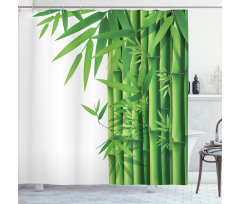 Modern Bamboos Stems Shower Curtain
