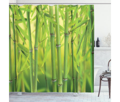 Bamboo Sprout Stem Forest Shower Curtain