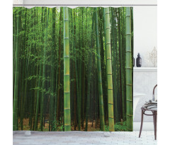 Exotic Bamboo Tree Forest Shower Curtain