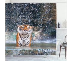 Exotic Wildlife Nature Shower Curtain