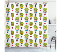 Colorful Succulents in Pots Shower Curtain