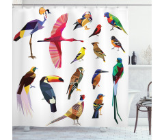 Bird Set Poly Design Shower Curtain