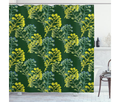 Helichrysum Yarrow Branches Shower Curtain