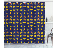 Primitive Style Stars Art Shower Curtain
