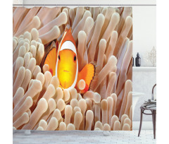 Bali Indonesia Fishes Shower Curtain