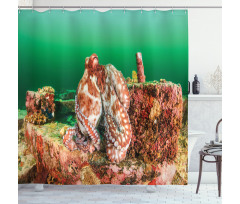 Octopus in Water Shower Curtain