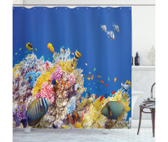 Tropical Corals Fish Shower Curtain