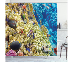 Sea Exotic Natural View Shower Curtain