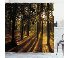 Summertime Forest Tree Shower Curtain