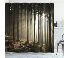 Morning Forest Scenery Shower Curtain