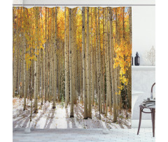 Aspen Tree Woods Scenery Shower Curtain