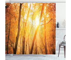 Autumn Forest Branches Shower Curtain