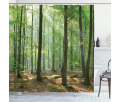 Morning Forest Farmhouse Shower Curtain