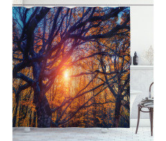 Majestic Trees Woods Shower Curtain