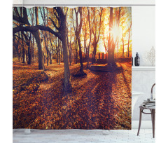 Sunset Forest Trees Shower Curtain