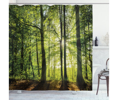 Sunny Forest Springtime Shower Curtain