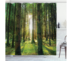 Sunny Day in the Forest Shower Curtain