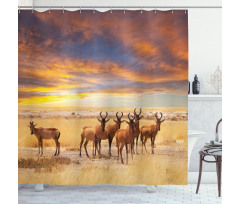 Tropical Animal Shower Curtain