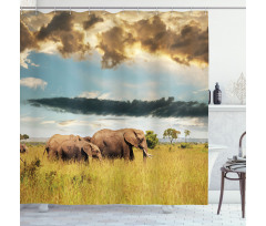 Elephant Family Photo Shower Curtain