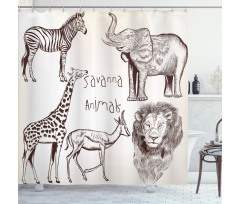 Wild Lion Zebras Shower Curtain