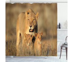 Safari Lions Wilderness Shower Curtain