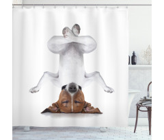 Dog Upside down Relax Shower Curtain