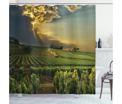 France Sunset Vineyard Shower Curtain