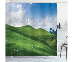 Sheep and Blue Sky Shower Curtain