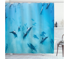 Dolphins Hawaii Ocean Shower Curtain