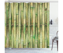 Botanical Wall Picture Shower Curtain