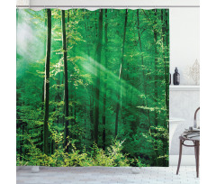 Forest Trees Morning Shower Curtain